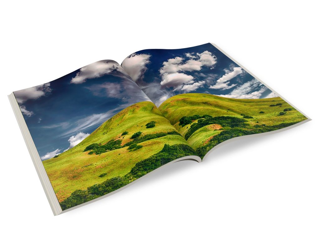 brochure